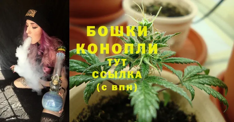 Каннабис THC 21%  Голицыно 