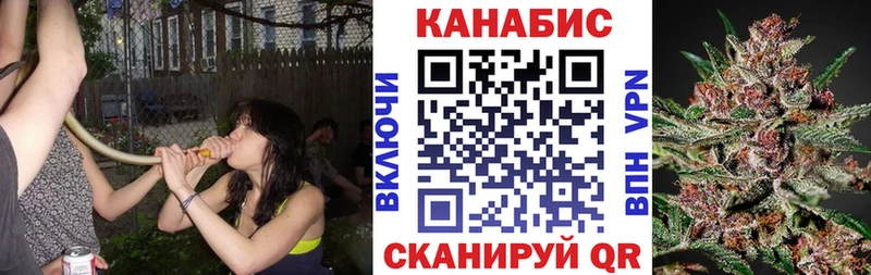 Шишки марихуана планчик Голицыно